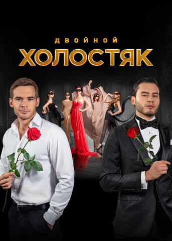 Холостяк 2013 постер
